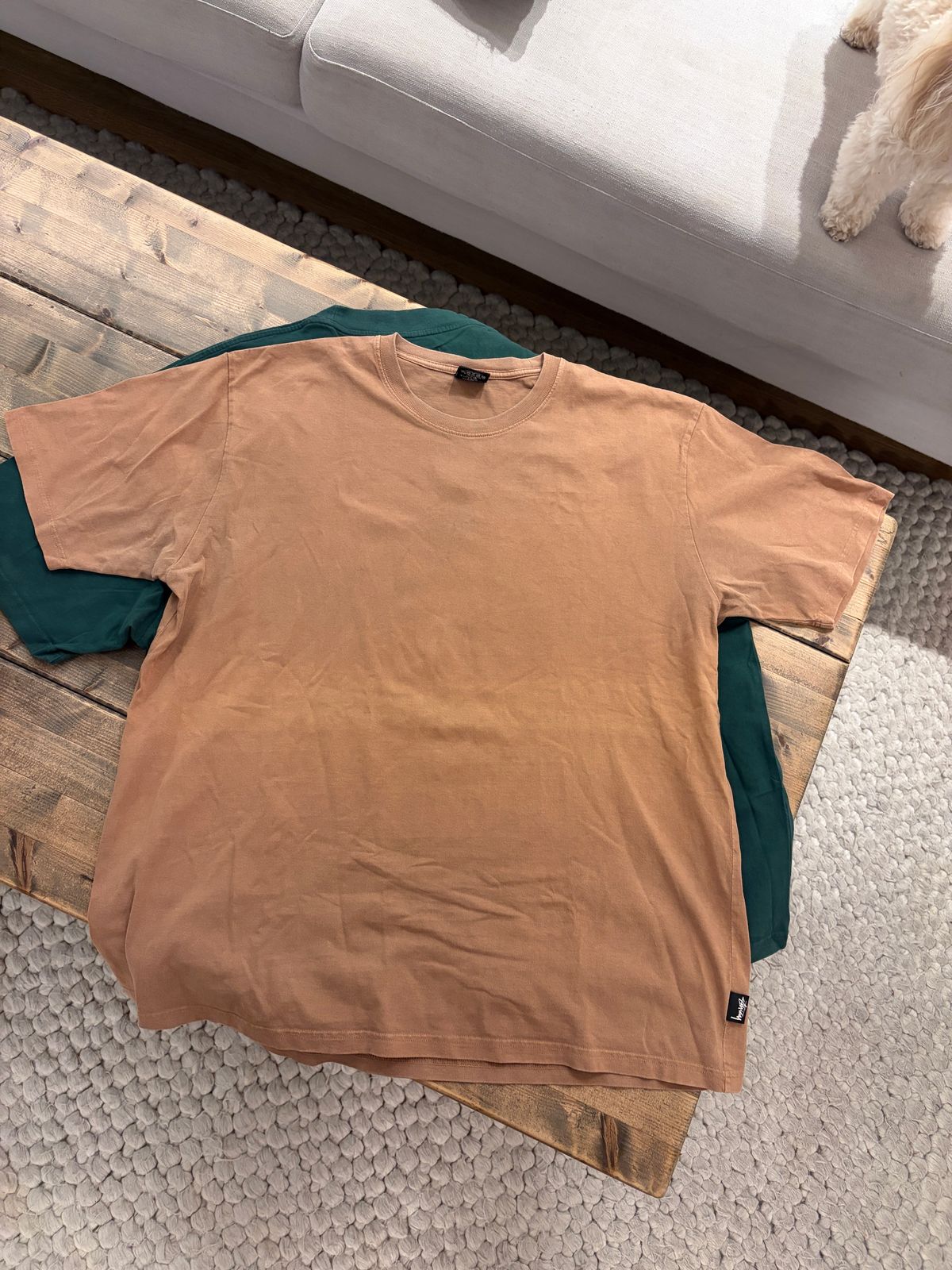 טי בייסיק Stussy משופשפת